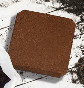 Jardin Coco Compost Block In Grow Bag 10 Litre x6