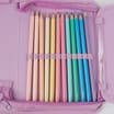 Disney Princess 40 Pieces Pencil Case