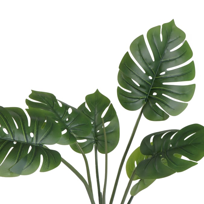 Home Collections Banana Leaf Plant