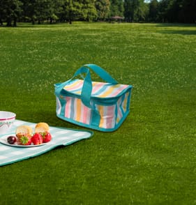 The Outdoor Living Collection Small Cooler Bag - Stripe