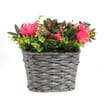 Jardin Large Artificial Natural Flower Basket