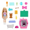 Barbie Family & Friends Club Chelsea Puppy Carrier Playset Doll JDF89