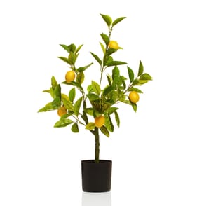 The Outdoor Edit Mediterranean Artificial Lemon Tree