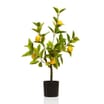 The Outdoor Edit Mediterranean Artificial Lemon Tree