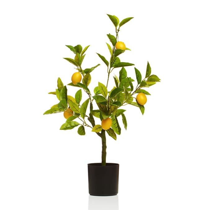 The Outdoor Edit Mediterranean Artificial Lemon Tree