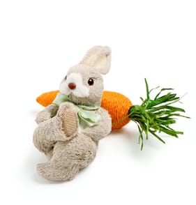 Hoppy Easter Bunny With Carrot Decoration
