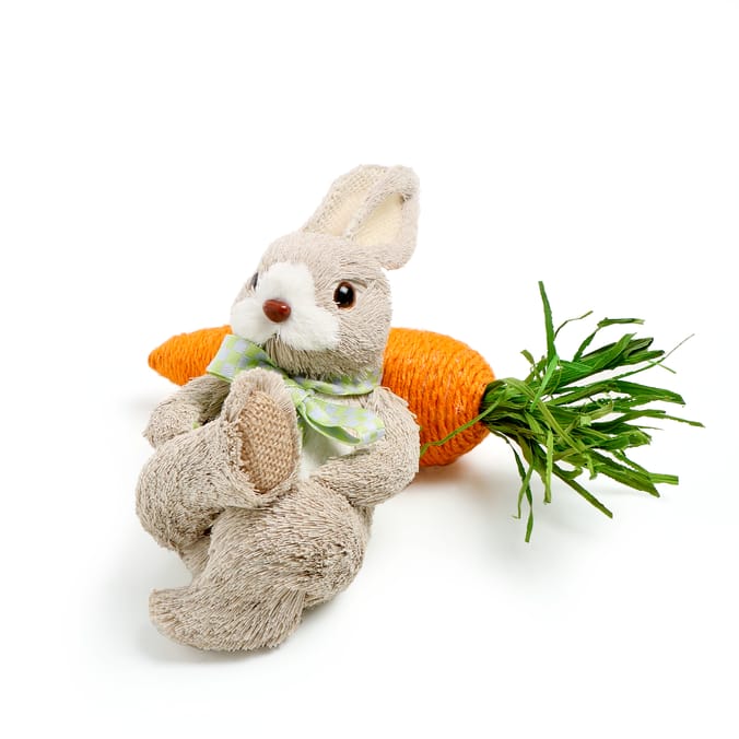 Hoppy Easter Bunny With Carrot Decoration
