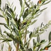 Home Collection Olive Tree 180cm 