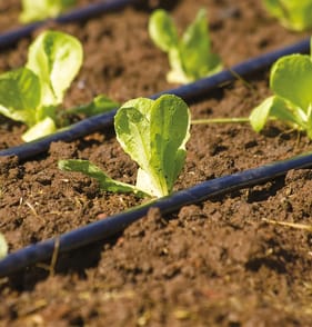 Jardin Perfect Garden Micro Irrigation System