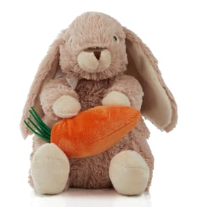 Bunny Rabbit Plush - Brown