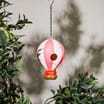 Wild Garden Hot Air Balloon Bird House