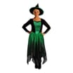 Hallow Scream Adults Ombre Witch Costume