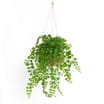 Home Collections Artificial Hanging Plant Basket