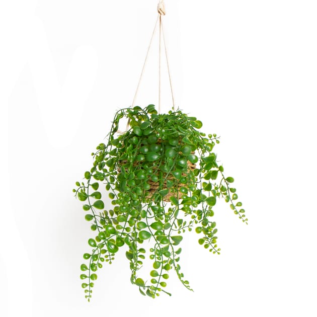 Home Collections Artificial Hanging Plant Basket Home Bargains