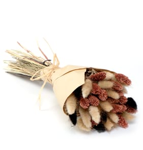 Home Collections Dried Flower Bunch - Brown