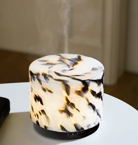 Wickford & Co Aroma Diffuser & Humidifier 