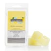 Wickford & Co Scented Wax Melts - Frozen Lemonade