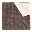 My Pet Winter Blanket