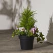 Jardin Artificial Flower & Outdoor Planter