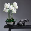 Home Collections Real Touch Orchid In Silver Pot