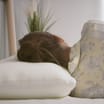 Slumberdown Memory Foam Plus Pillow