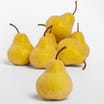 The Lifestyle Edit Harvest Artificial Frosted Pears 8 Pack