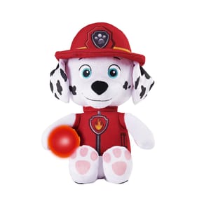 Paw Patrol Walkie Talkie Home Bargains