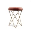 Home Collections Velvet Metal Footstool