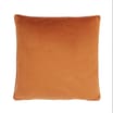 Home Collections Velvet Feather Filled Cushion
