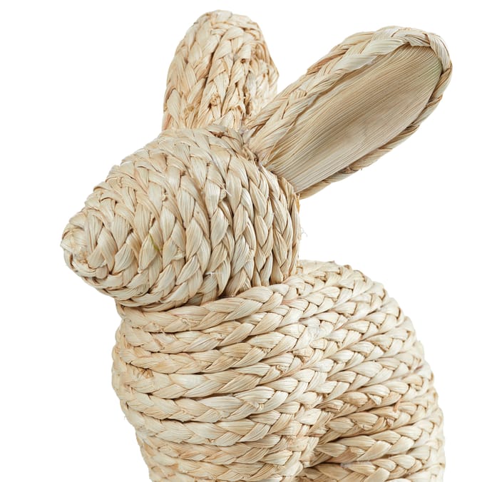 The Lifestyle Edit Sadie The Bunny