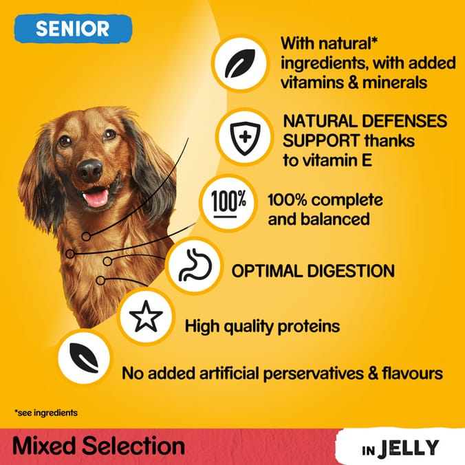 Pedigree Senior Mixed Selection in Jelly Wet Dog Food Pouches 12 x 100g