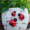 Jardin Set of 3 Decorative Metal Ladybirds