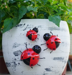 Jardin Set of 3 Decorative Metal Ladybirds