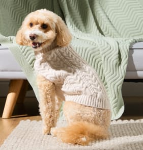 My Pets Cable Knit Jumper Cream Pattern