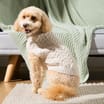 My Pets Cable Knit Jumper Cream Pattern