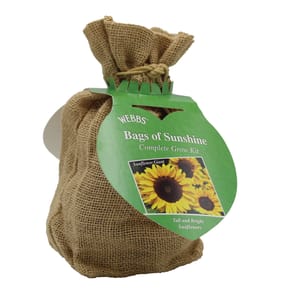 Webbs Complete Grow Set - Bags of Sunshine