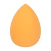 Olivia Hale Beauty Blender