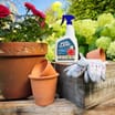RoseClear 3in1 Plant Feed 800ml