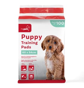 Puppy Training Pads Pack of 100