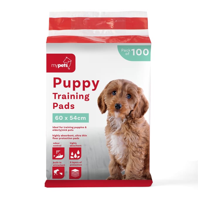 Puppy Training Pads Pack of 100