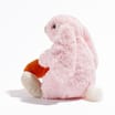 Bunny Rabbit Plush