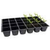 Jardin 24 Cells Large Seed Trays 5 Pack