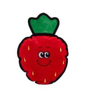 Chester's Strawberry Tough Dog Toy