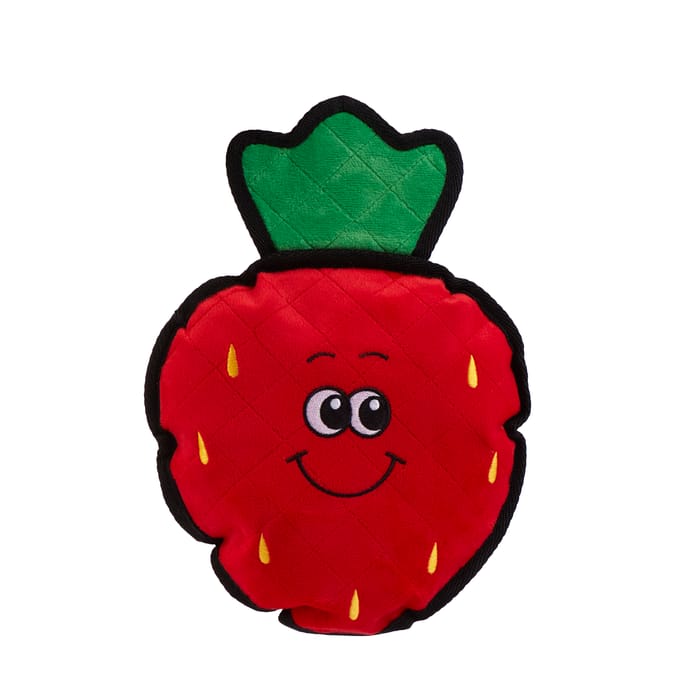 Chester's Strawberry Tough Dog Toy
