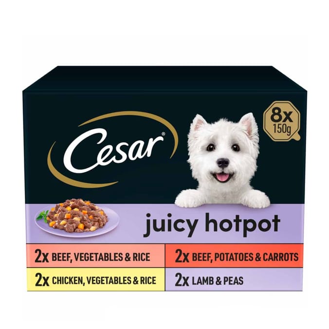 Cesar Wet Dog Food Juicy Hotpot Mixed Selection 8 x 150g