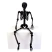 Hallow Scream Black Flocked Skeleton