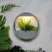 Firefly Round Wall Planter Solar Light