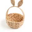 Spring Time Bunny Ears Shape Basket