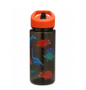  Back To School Bottle With Straw 400ml - Dinosaur