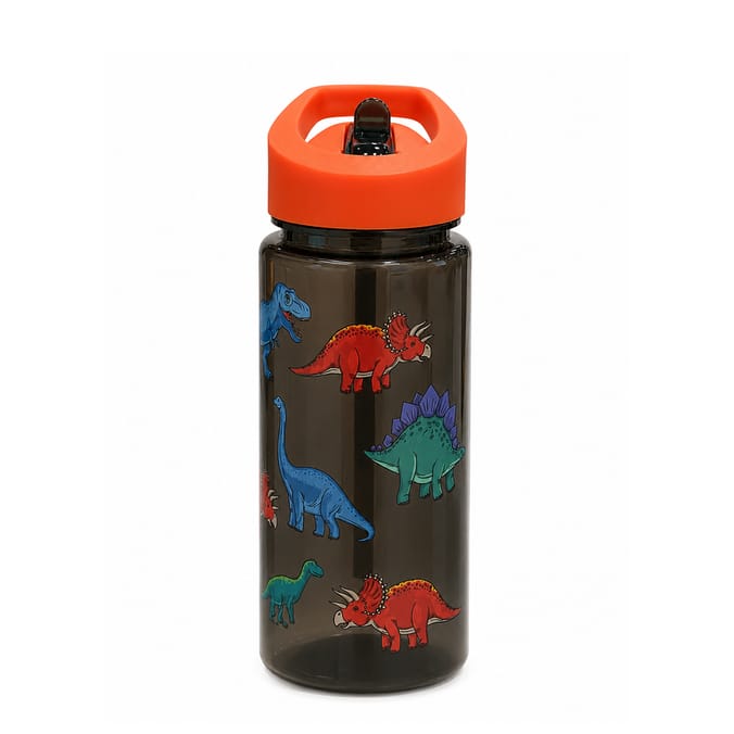 Back To School Bottle With Straw 400ml - Dinosaur